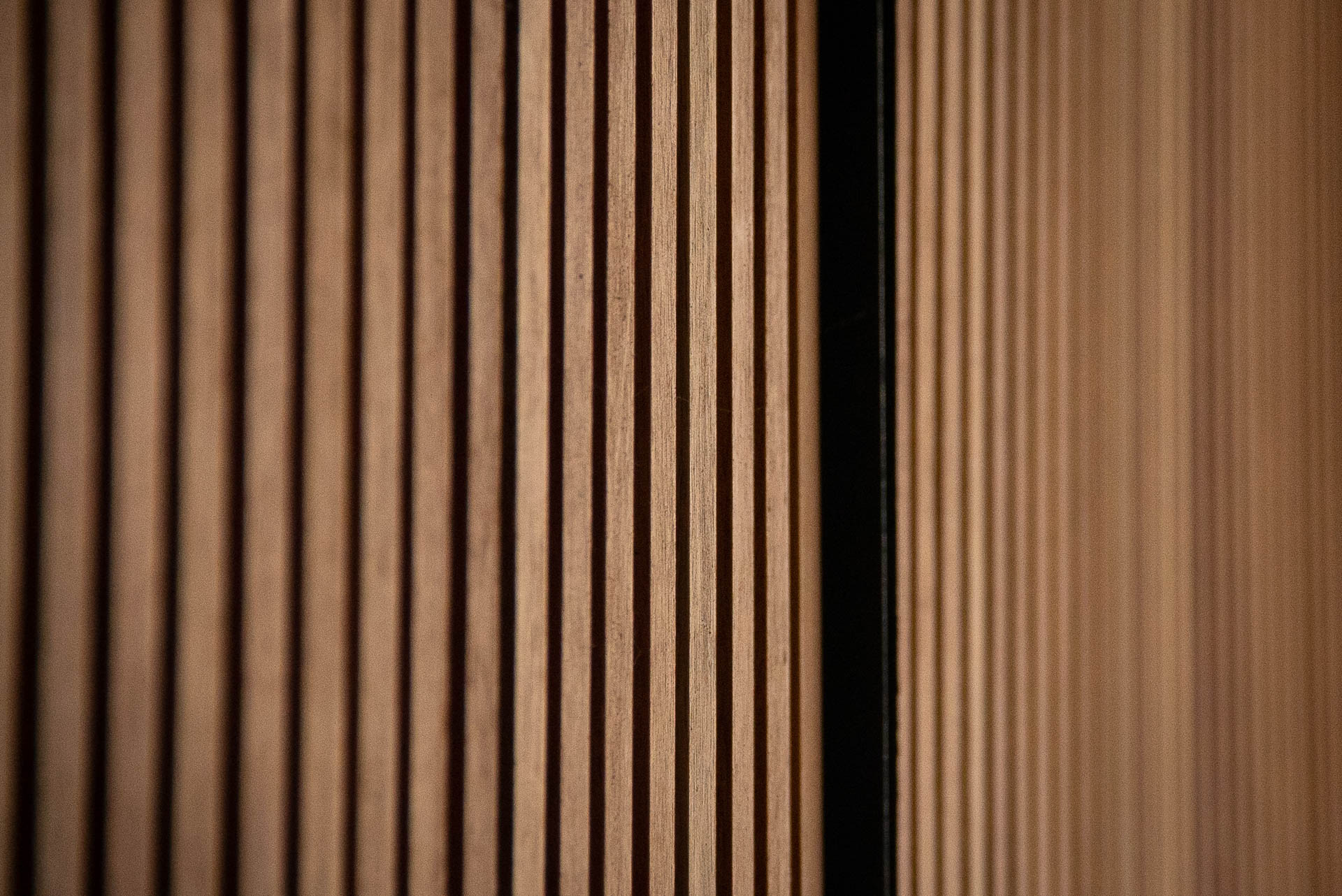 DSC00264